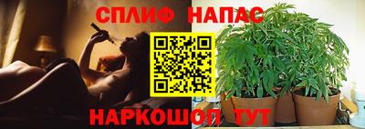 шишки Абинск