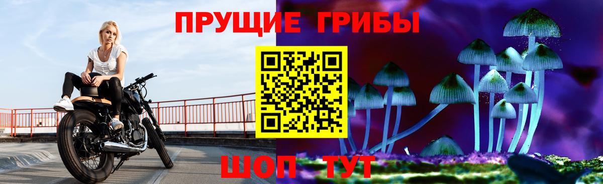 где продают   Псилоцибиновые грибы MAGIC MUSHROOMS  Псилоцибиновые грибы ЛСД  Вход с VPN  Анжеро-Судженск 
